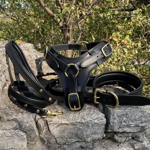 Premium Leather Dog Harness for Large Dogs, Collar and Leash Set