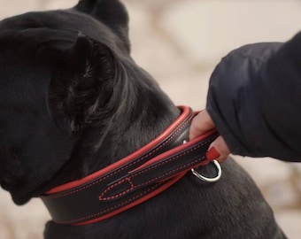 Heavy Duty Black Leather Dog Collar with Soft Padded Handle, Red Nappa Lining, Stainless Steel Hardware, 2" Wide Custom Gear for Large Dogs