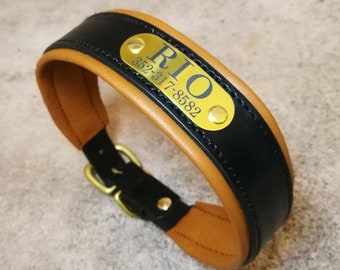 Collar para perro de cuero acolchado suave color caramelo negro con placa de latón, collar para perro personalizado y duradero con nombre grabado para perros medianos y grandes