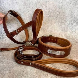 May include: A brown leather dog collar, lead, and harness set. The collar has a nameplate that reads "OTIS". The lead and harness have silver-coloured metal hardware. The set is made of brown leather with a lighter brown lining.