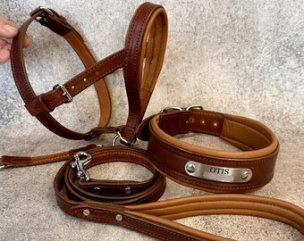 Personalized Brown Leather Dog Head Collar Set, Padded Collar & Leash, Caramel Padding, Stainless Steel, Large Breeds Heavy Duty Training