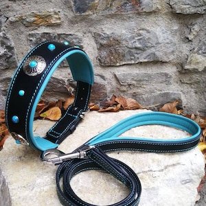 Peut inclure: Ensemble collier et laisse pour chien en cuir noir avec des coutures bleu turquoise et des accents argentés décoratifs.
