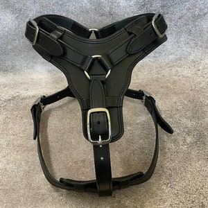 Leather Dog Harness for Large Dogs, Padded Dog Harness with Stainless Steel Buckles
