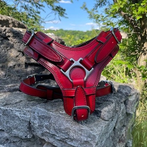 Leather Dog Harness for Large Dog, Agitation Harness for German Shepherd, XL Bully Leather Harness, Heavy Duty Harness Cane Corso, Mastiff