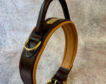 Personalized Leather Dog Collar with Round Handle, Brass Name Plate, Wide Padded Collar for Cane Corso, Mastiff, Large Dogs