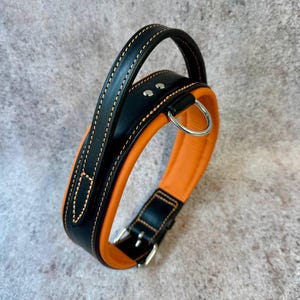 May include: A black and orange leather dog collar with a handle. The collar features a padded orange interior and a black exterior with decorative stitching. It has a silver metal buckle and a D-ring for leash attachment.
