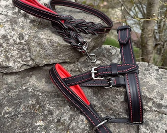 Leather Headcollar No Pull Set, Padded Head Halter for Large Dogs, Braided Traffic Leash 18" Professional Training Gear with Stainless Steel