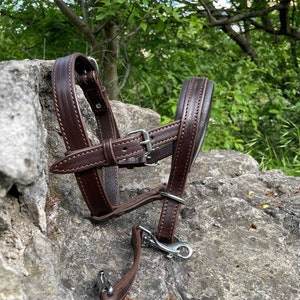 No Pull Dog Head Collar, Leather Head Dog Harness Anti Pull, Muzzle Alternative for Large Dog, Dog Training, Doberman, Cane Corso, Shepherd