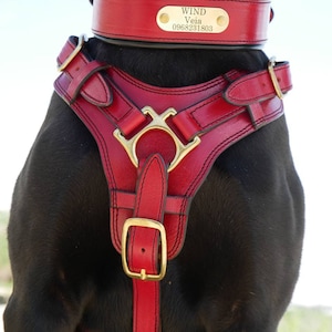 red leather dog harness