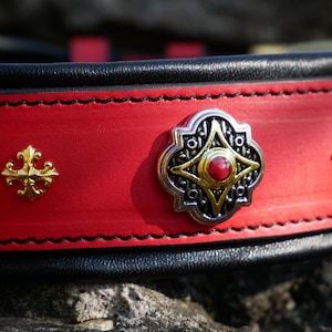 May include: Close-up of a red leather dog collar with black trim. The collar features decorative gold and silver metal embellishments, including a central ornate piece with a red stone and smaller gold accents.