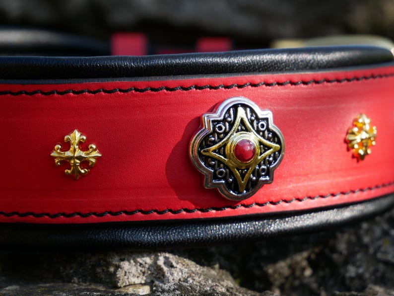 May include: Close-up of a red leather dog collar with black trim. The collar features decorative gold and silver metal embellishments, including a central ornate piece with a red stone and smaller gold accents.