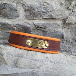 Personalized Dog Collar Padded Leather
