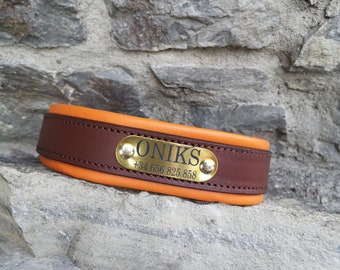 Personalized Dog Collar Padded Leather