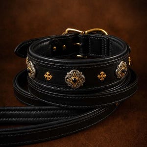 Può includere: Un collare e un guinzaglio in pelle nera abbinati, decorati con elementi metallici color oro e argento. Il collare presenta placche metalliche decorative a forma di stella, ciascuna con una piccola pietra nera centrale e croci dorate.