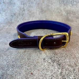 May include: A dark brown leather collar with a vibrant purple interior lining. The collar features gold-toned metal hardware, including a buckle and a D-ring. The brand name Castellar is embossed on the leather strap near the buckle end.