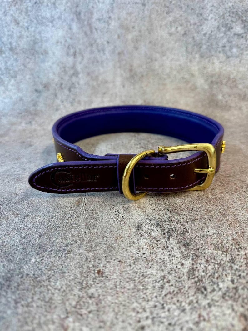May include: A dark brown leather collar with a vibrant purple interior lining. The collar features gold-toned metal hardware, including a buckle and a D-ring. The brand name Castellar is embossed on the leather strap near the buckle end.
