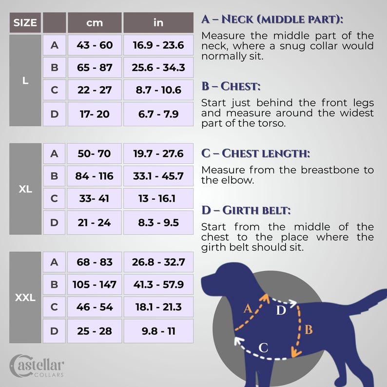 Pode incluir: Uma tabela de tamanhos de coleiras para c&atilde;es, com medidas em cent&iacute;metros e polegadas. A tabela inclui medidas de pesco&ccedil;o, peito, comprimento do peito e cinto de circunfer&ecirc;ncia para os tamanhos L, XL e XXL. Um diagrama de c&atilde;o ilustra os pontos de medi&ccedil;&atilde;o.