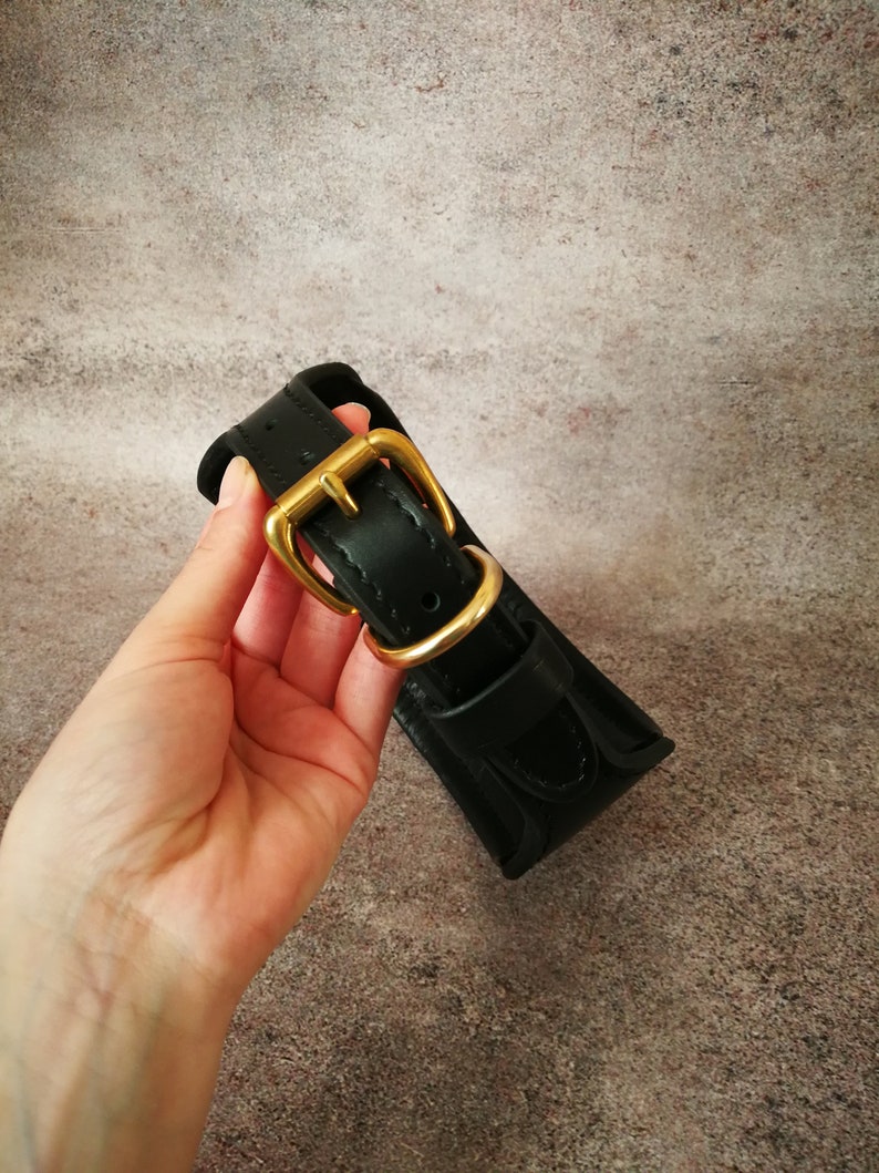 May include: A black leather dog collar with a gold metal buckle.
