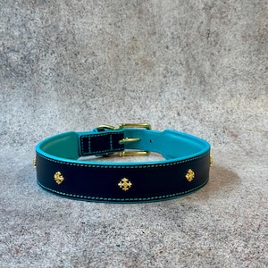 May include: A navy blue dog collar with a turquoise interior and gold-colored hardware. The collar is adorned with gold cross-shaped embellishments. The collar is made of leather and has white stitching.