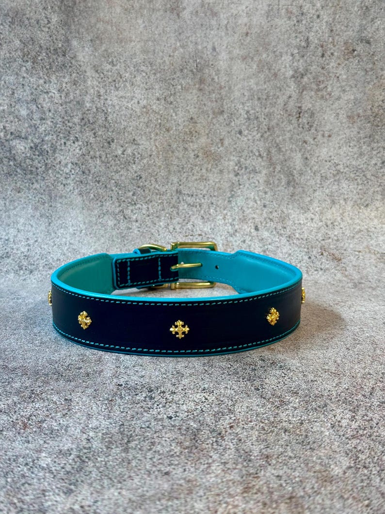May include: A navy blue dog collar with a turquoise interior and gold-colored hardware. The collar is adorned with gold cross-shaped embellishments. The collar is made of leather and has white stitching.