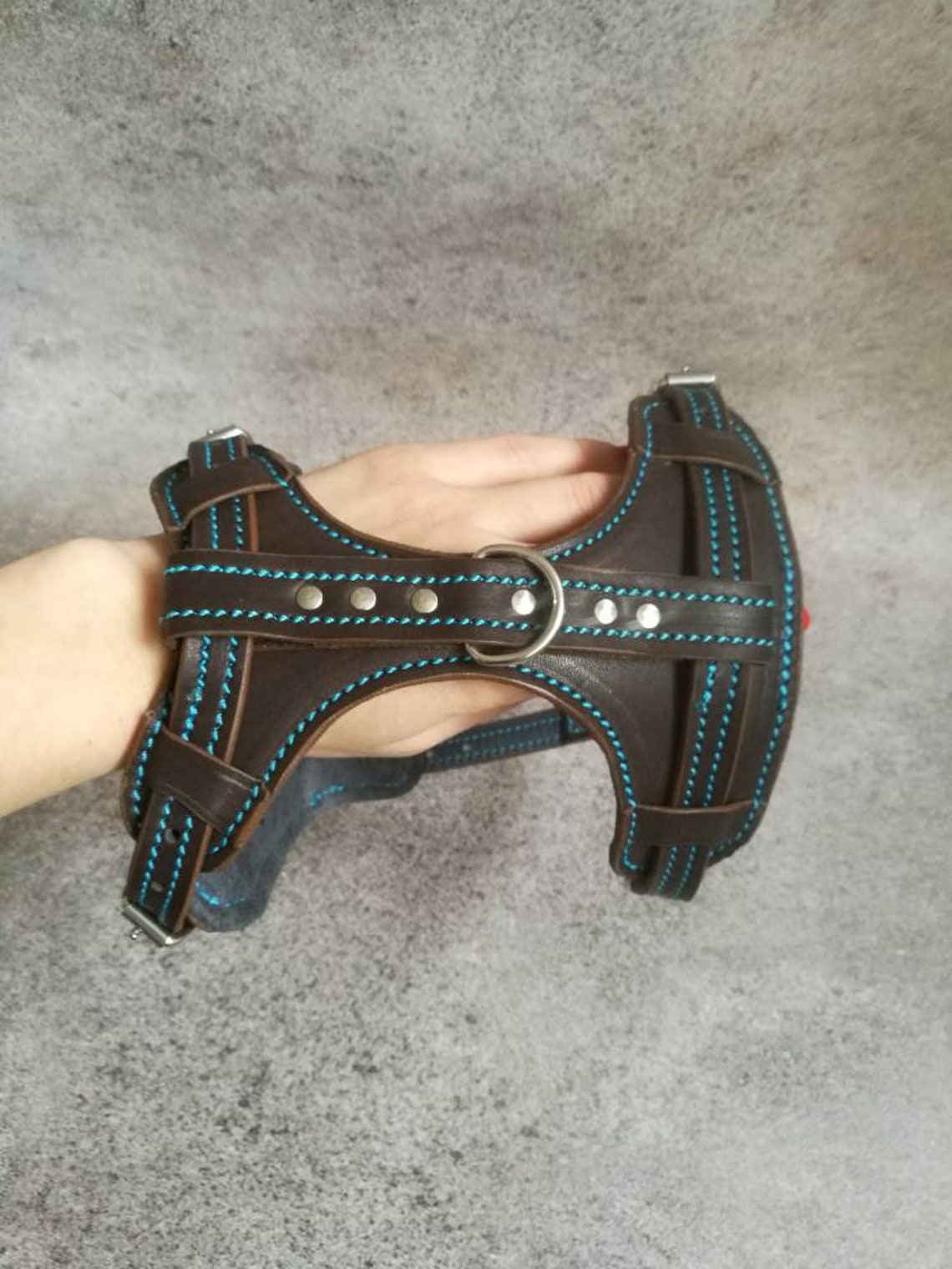 Leather Cat Harness Walking Cat Harness Luxury Cat Harness Etsy