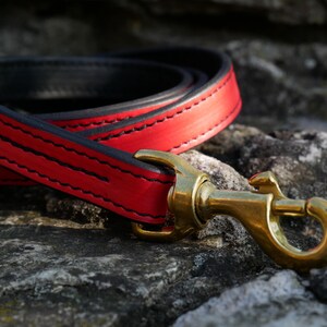May include: A red leather dog lead with black stitching and a brass-coloured clasp. The lead is coiled on a textured stone surface, showcasing the contrasting colours and materials. The design suggests a focus on durability and style for pet owners.