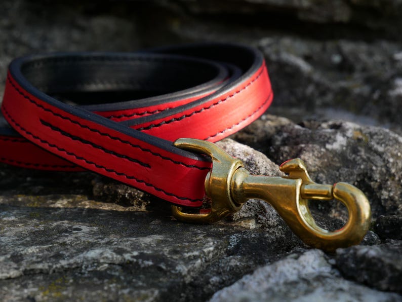 May include: A red leather dog lead with black stitching and a brass-coloured clasp. The lead is coiled on a textured stone surface, showcasing the contrasting colours and materials. The design suggests a focus on durability and style for pet owners.