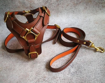 Brown Leather Dog Harness and Leash, Matching Dog Harness and Leash, Luxury Leather Dog Harness with Handle, Custom Dog Harness for Dogs