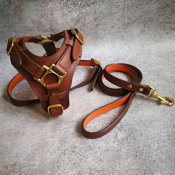 Brown Leather Dog Harness and Leash, Matching Dog Harness and Leash, Luxury Leather Dog Harness with Handle, Custom Dog Harness for Dogs