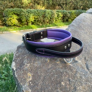 May include: A black leather dog collar with a purple padded interior and purple stitching. The collar has a silver metal buckle and a D-ring for leash attachment. The collar is resting on a large gray rock.