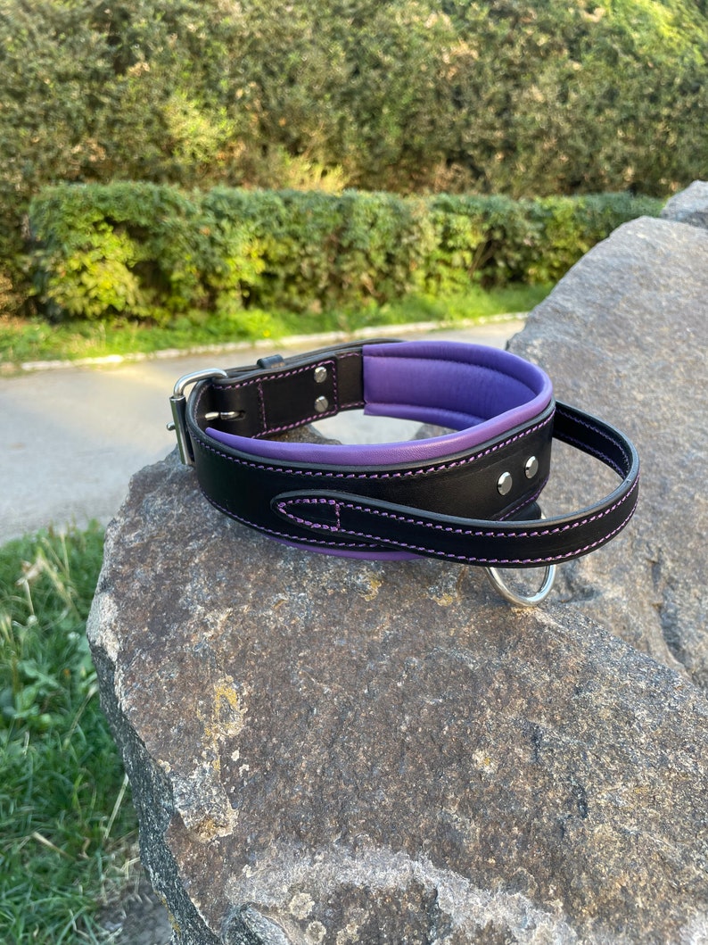 May include: A black leather dog collar with a purple padded interior and purple stitching. The collar has a silver metal buckle and a D-ring for leash attachment. The collar is resting on a large gray rock.