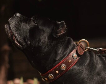 Royal Brown Leather Dog Collar, Red Padded Lining, Solid Brass Hardware & Ornaments with Red Stones, 2" Wide Custom Gear for Large Breeds