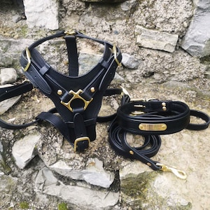 Leather Dog Harness and Collar and Leash Set, Brass Buckles Leather Dog Harness Personalized Dog Collar Leather Dog Leash