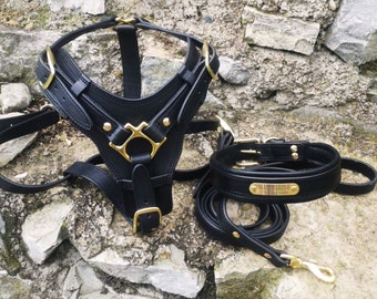 Leather Dog Harness and Collar and Leash Set, Brass Buckles Leather Dog Harness Personalized Dog Collar Leather Dog Leash