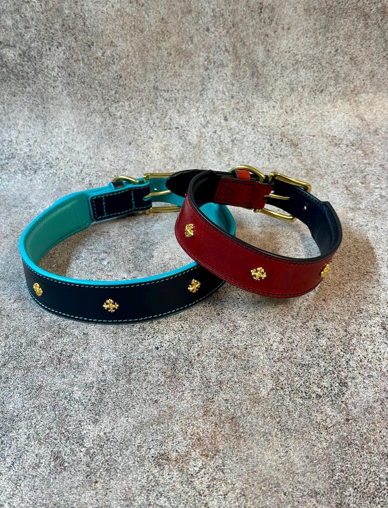 May include: Two leather dog collars. One is black with a turquoise interior and gold-colored accents. The other is red with a black interior and gold-colored accents. Both collars have gold-colored decorative studs and buckles.