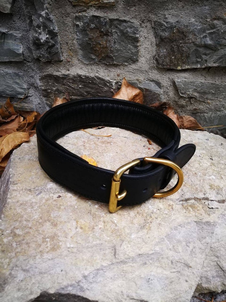 May include: A black leather dog collar with a gold-coloured buckle and D-ring. The collar is thick and padded. The background features a stone wall and natural light. The collar is designed for comfort and durability.