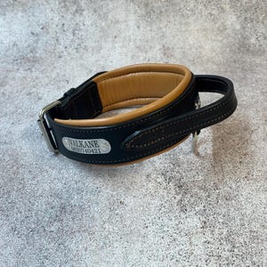 May include: Black and tan leather dog collar with a padded interior. The collar has a silver-colored buckle and a small metal tag with the name "VALKANE" and a phone number. The collar is designed for comfort and durability.