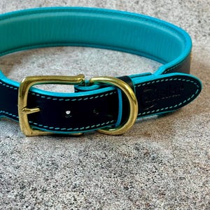 May include: A close-up of a dog collar with a navy blue exterior and a turquoise interior. The collar features a gold-colored buckle and turquoise stitching. The brand name is visible on the collar.