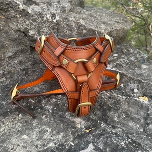 Leather Dog Harness