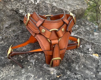 Leather Dog Harness