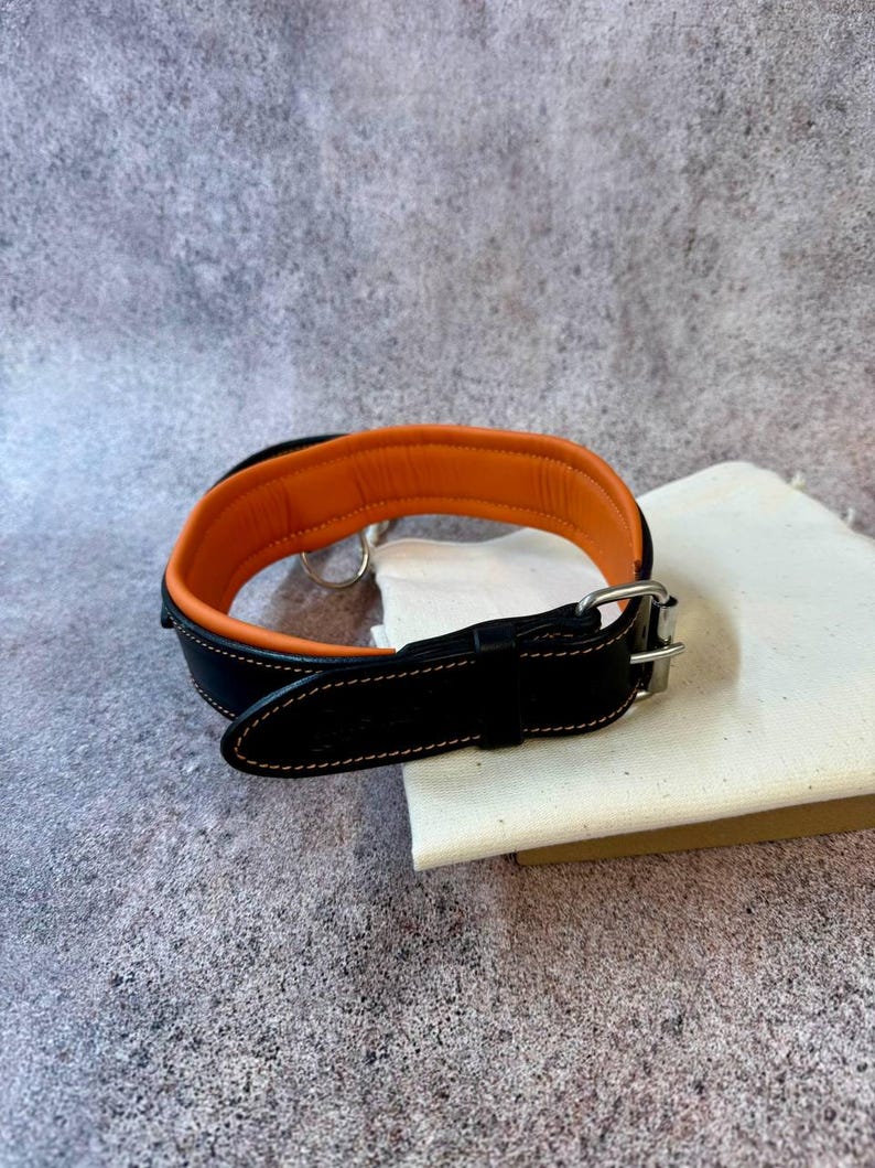 May include: A black leather dog collar with an orange interior. The collar has a silver-colored metal buckle and a D-ring for leash attachment. The collar is resting on a white canvas bag.