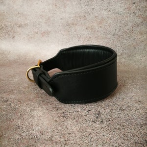 May include: A black leather dog collar with a gold metal buckle and a D-ring. The collar is wide and padded for comfort.