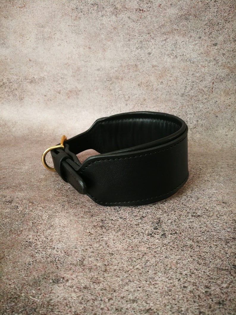 May include: A black leather dog collar with a gold metal buckle and a D-ring. The collar is wide and padded for comfort.