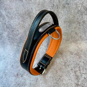 May include: A black and orange leather dog collar with a handle. The collar has a silver buckle and a metal tag that reads "SULTAN". The collar is stitched with tan thread.