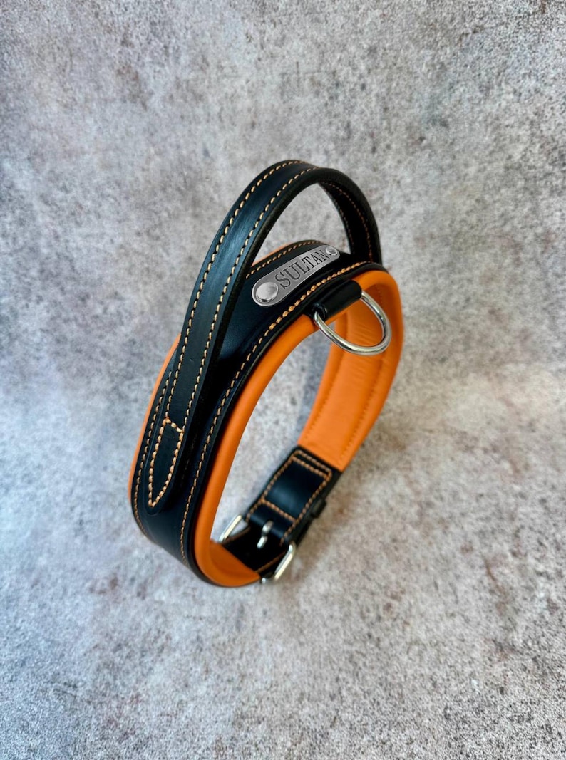 May include: A black and orange leather dog collar with a handle. The collar has a silver buckle and a metal tag that reads "SULTAN". The collar is stitched with tan thread.