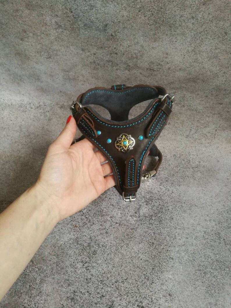 Leather Cat Harness Walking Cat Harness Luxury Cat Harness Etsy