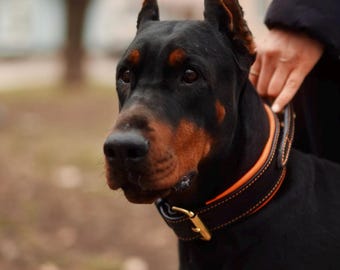 Luxury Black & Orange Italian Leather Dog Collar with Handle, Leash Set, Solid Brass, Padded Nappa Lining for Large Breeds, Doberman, Corso