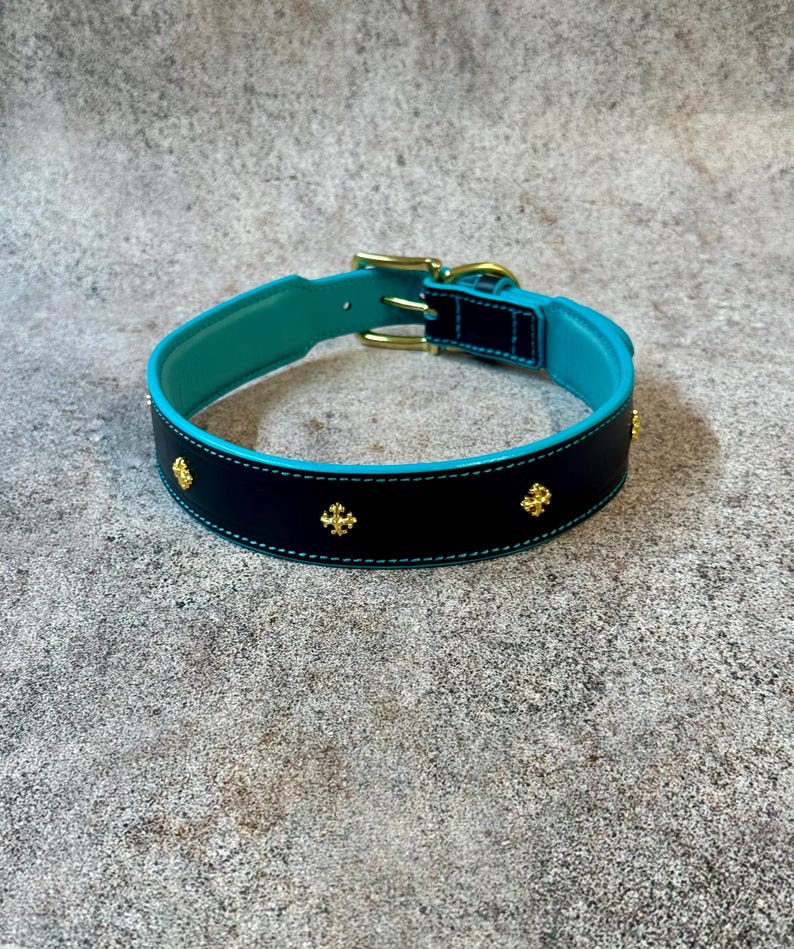May include: A black dog collar with a turquoise interior and trim, adorned with gold-colored cross-shaped embellishments. The collar features a gold-colored buckle and hardware. The stitching is a light turquoise color.