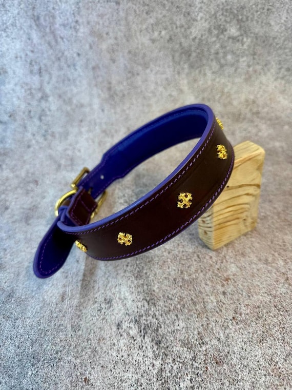 Dark Brown Leather Dog Collar with Soft Purple Padding, Decorated Collar with Solid Brass Hardware for Doberman Cane Corso Mastiff