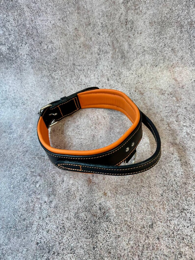 May include: Black and orange dog collar with a stainless steel buckle. The collar is made of leather and features white stitching. The interior of the collar is orange, and the exterior is black.